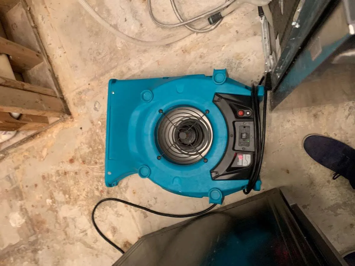 Air mover drying equipment for Mold Remediation & Removal in Champaign
